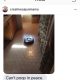 The Robot that Stole My Heart: ROOMBA